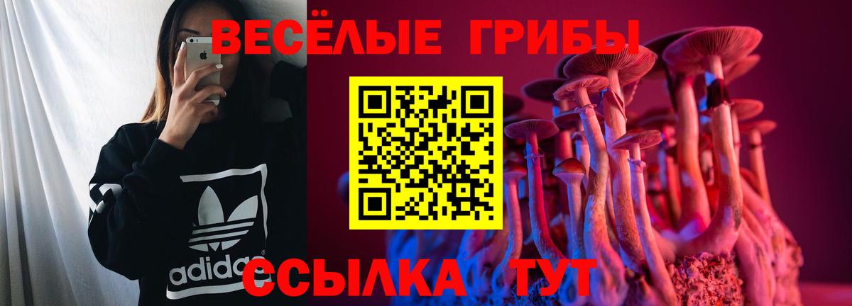 Электросталь  Галлюциногенные грибы Psilocybe  Вход с VPN 